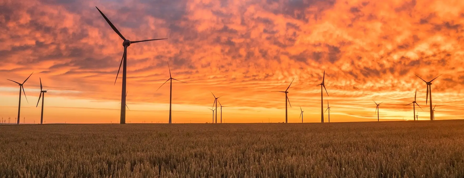 web_windmills