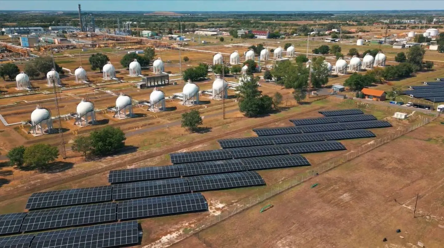 web_algyo3