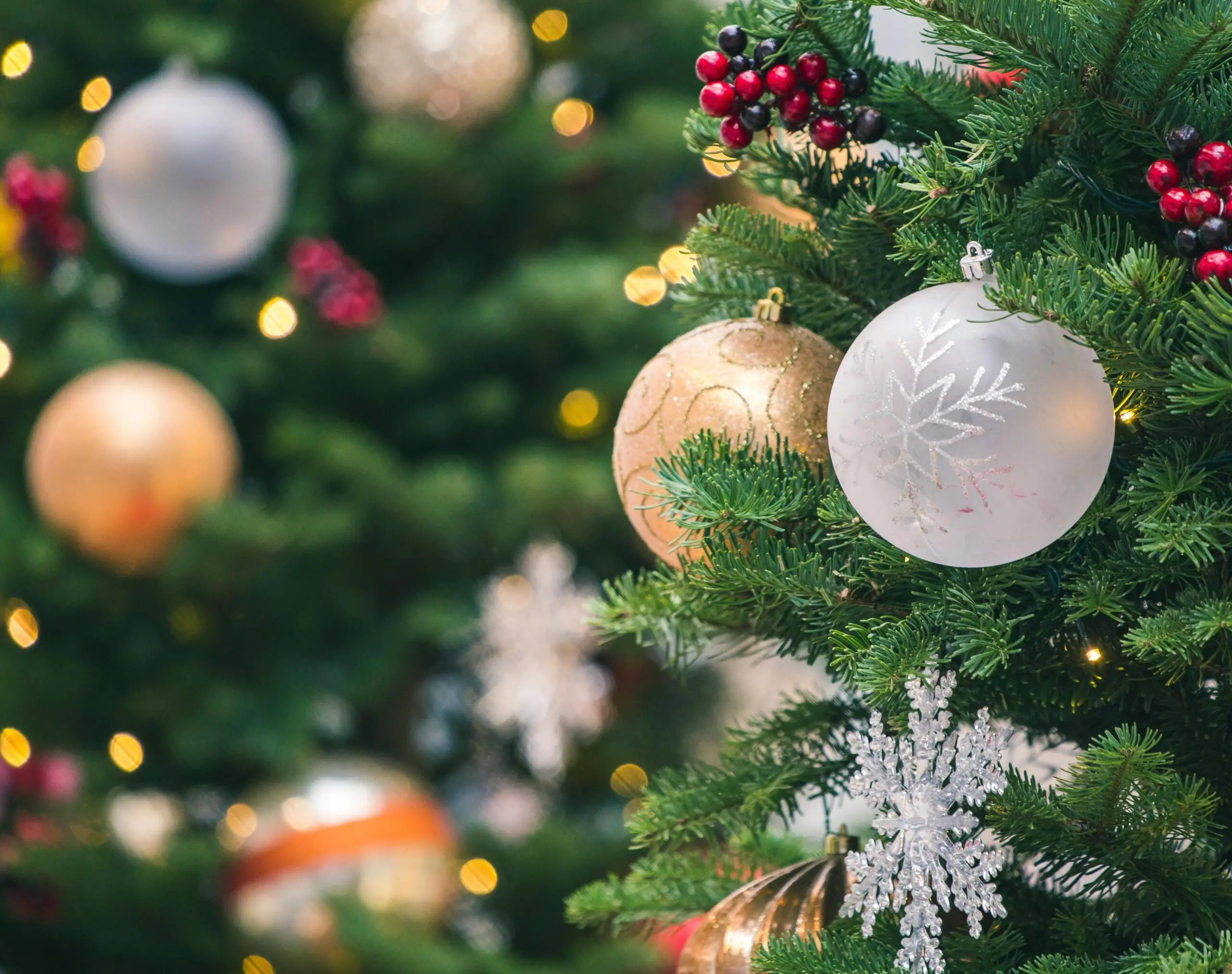 web_xmas_mmk2