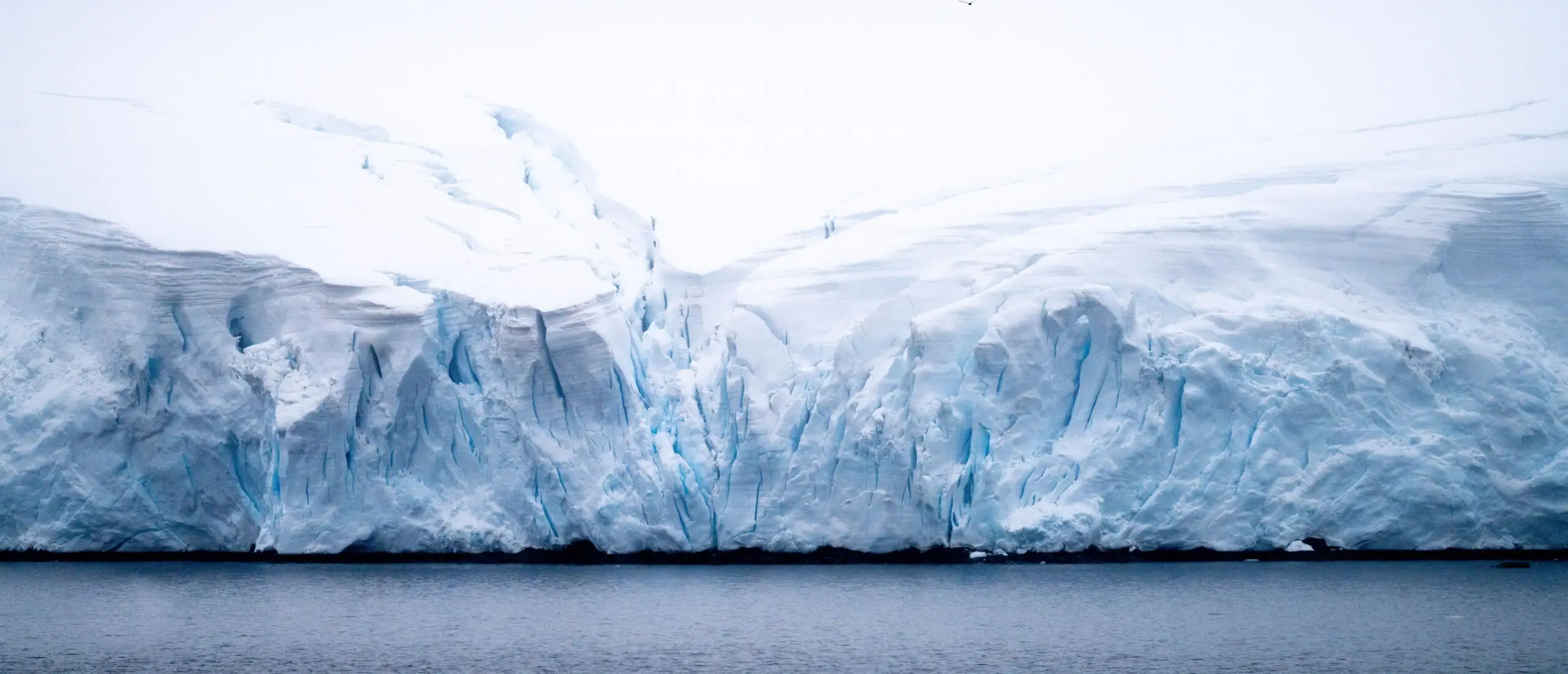 web_antartica